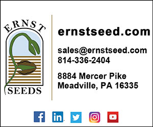 Ernst Seed
